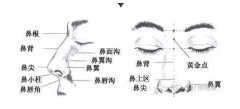 科普 | 隆鼻不是鼻综合