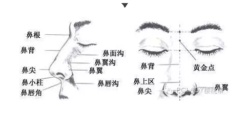 科普 | 纳尼？原来隆鼻不是鼻综合